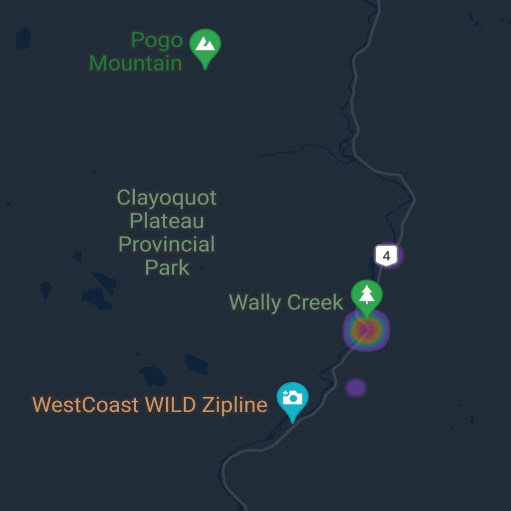 wally creek BC  - Experienced WordPress developer